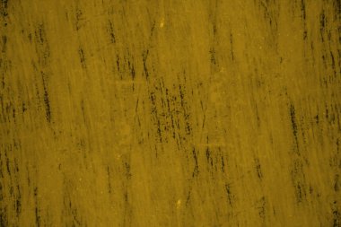 sisli iğne yapraklı ağaç içinde ağaç patika 