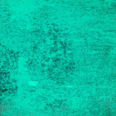 sisli iğne yapraklı ağaç içinde ağaç patika