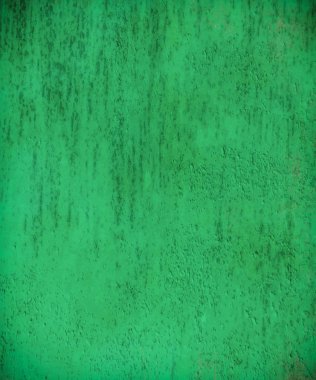 sisli iğne yapraklı ağaç içinde ağaç patika