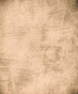 sisli iğne yapraklı ağaç içinde ağaç patika