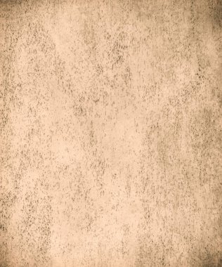 sisli iğne yapraklı ağaç içinde ağaç patika