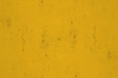 sisli iğne yapraklı ağaç içinde ağaç patika