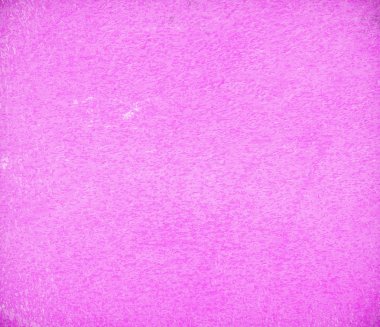 sisli iğne yapraklı ağaç içinde ağaç patika