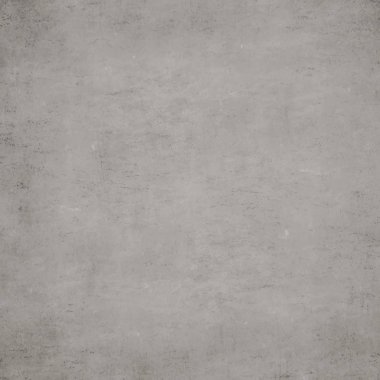 sisli iğne yapraklı ağaç içinde ağaç patika