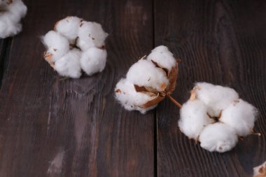  ahşap masa üzerinde beyaz pamuklu