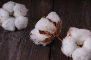  ahşap masa üzerinde beyaz pamuklu