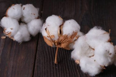  ahşap masa üzerinde beyaz pamuklu