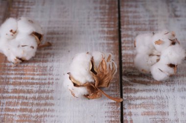  ahşap masa üzerinde beyaz pamuklu