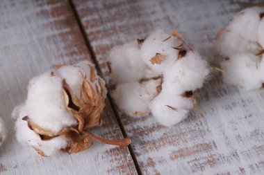  ahşap masa üzerinde beyaz pamuklu