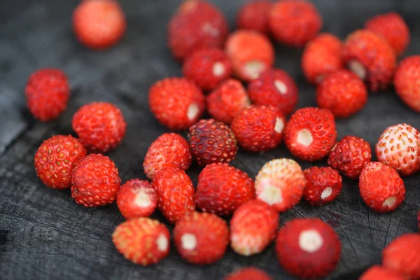 Morango vermelho maduro close-up — Fotografia de Stock