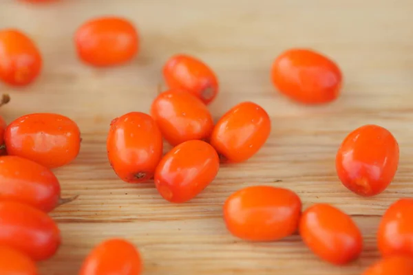 Big Orange Sea buckthorn — Stock Photo, Image