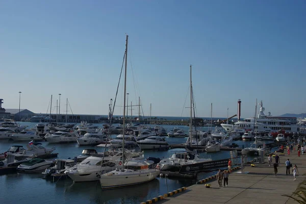 Rusland Zeehaven Van Sochi Herfst 2019 — Stockfoto