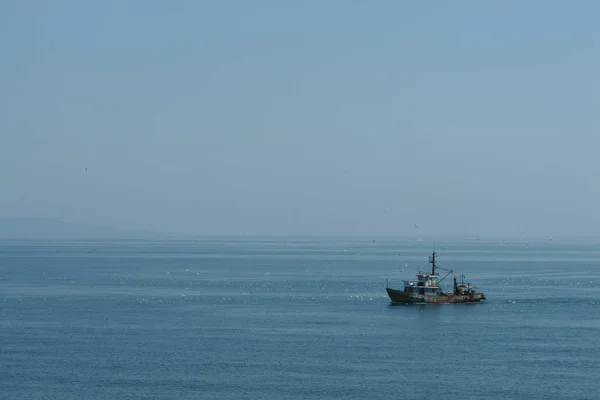 view of the sea and the boat