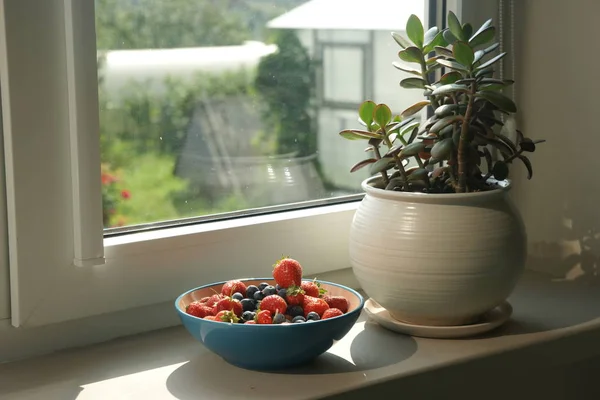 Das Fenster Modernen Haus Mit Einer Schüssel Voller Erdbeeren Und — Stockfoto