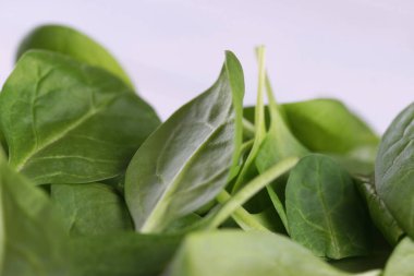 Green leaves of fresh baby spinach on white wooden table background