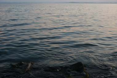 deniz suyu ve dalgalar