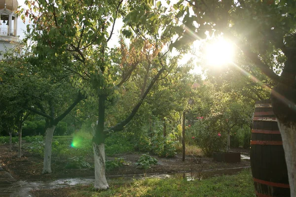 Widok Park Mieście — Zdjęcie stockowe