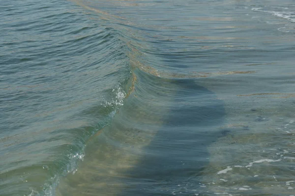 Sea Water Coastal Small Waves Sea Shore — 스톡 사진