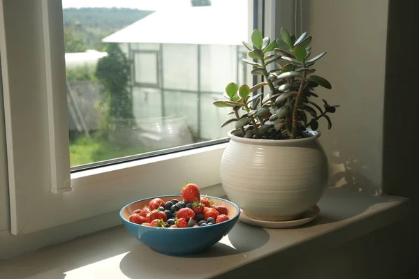Jendela Rumah Modern Dengan Mangkuk Penuh Stroberi Dan Blueberry — Stok Foto