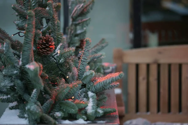 Christmas Decoration Fir Tree Red Lights – stockfoto