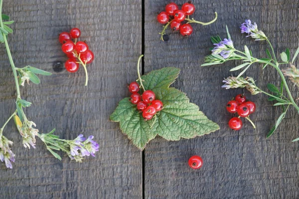 Bacche Ribes Rosso Maturo Sfondo Tavole Legno — Foto Stock