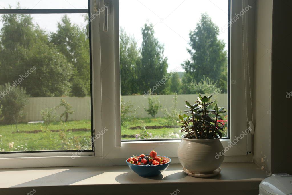 the window in the modern house with bowl full of strawberries and blueberries 