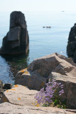 lonely beach with deep blue water and boulders and rocks 