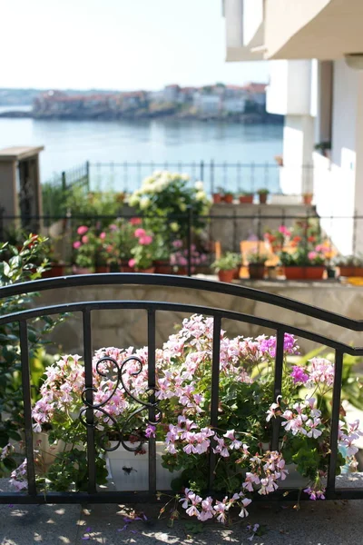 Balcón Con Flores Plantas — Foto de Stock