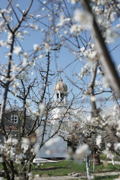 포모리에 게오르기 수도원 — 스톡 사진