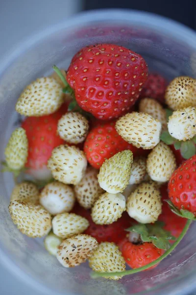 Fresas Tazón Vidrio — Foto de Stock