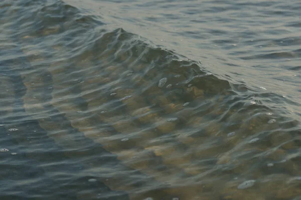 Piękna Czysta Woda Morska Falami Tle Plaży — Zdjęcie stockowe