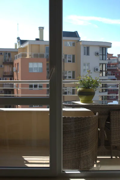 Plante Verte Pot Jaune Par Jour Ensoleillé Sur Fond Balcon — Photo