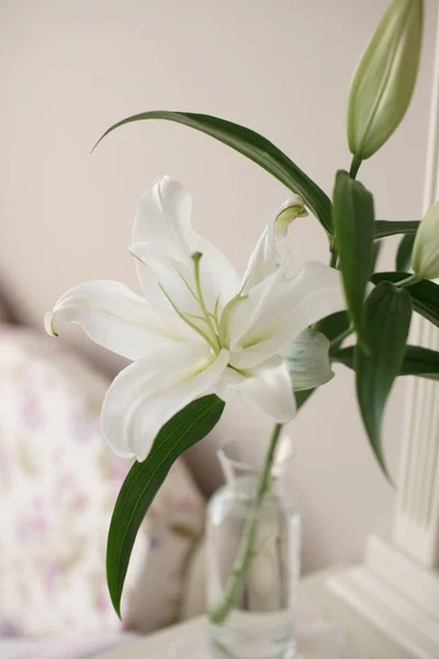 Sprig Blossoming White Lily Flowers Glass Vase Bedroom Table Background — Stock Photo, Image