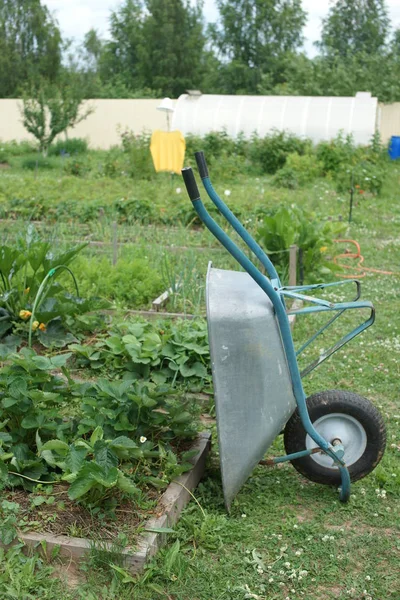 Alte Schubkarre Garten — Stockfoto