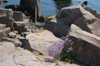 lonely beach with deep blue water and boulders and rocks 