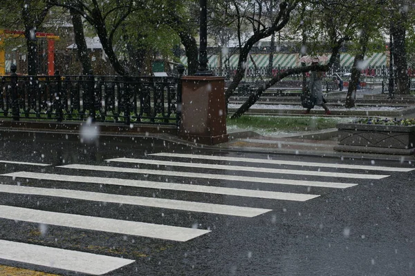 Cascada Nieve Pesada Moscú Febrero 2020 Rusia — Foto de Stock