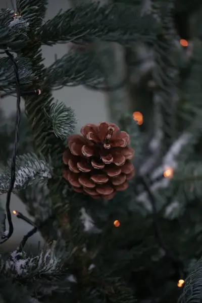 Weihnachtsdekoration Mit Tanne Und Roten Lichtern — Stockfoto