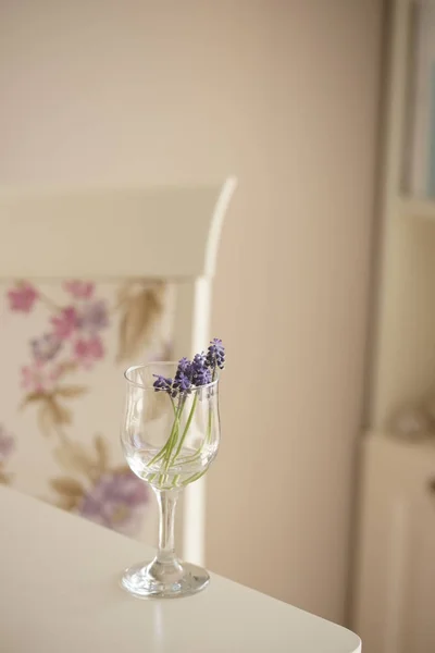 purple flowers in glass with water on room table background