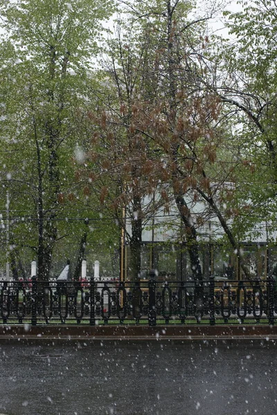 Сильный Снегопад Москве Февраль 2020 Года Россия — стоковое фото