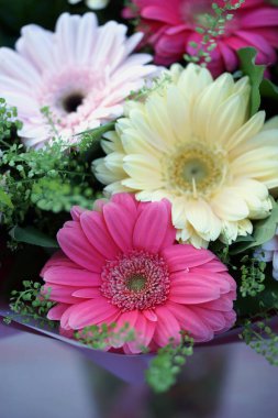 Rengarenk Gerbera çiçeklerinden oluşan muhteşem çiçek buketini kapat. 