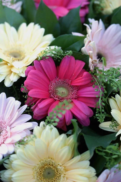 Beautiful Bouquet Multi Colored Large Gerbera Flowers — Stock Photo, Image