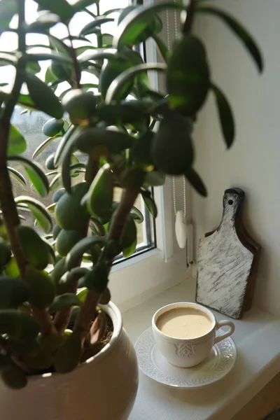 Kopp Kaffe Med Mjölk Fönsterbrädan Solig Dag — Stockfoto