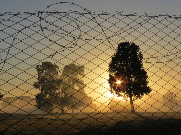 Amanecer Rasgado Zerrissene Morgenröte — Stockfoto