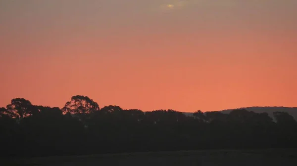 Gyönyörű Napfelkelte Mezőn Harmat Ködében — Stock Fotó