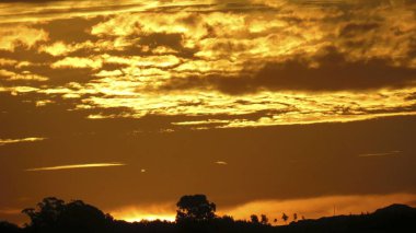 Tarlada güzel gündoğumu çiy tanelerinin arasında..