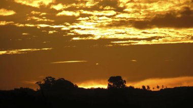 Tarlada güzel gündoğumu çiy tanelerinin arasında..