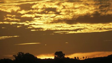 Tarlada güzel gündoğumu çiy tanelerinin arasında..