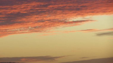 Tarlada güzel gündoğumu çiy tanelerinin arasında..