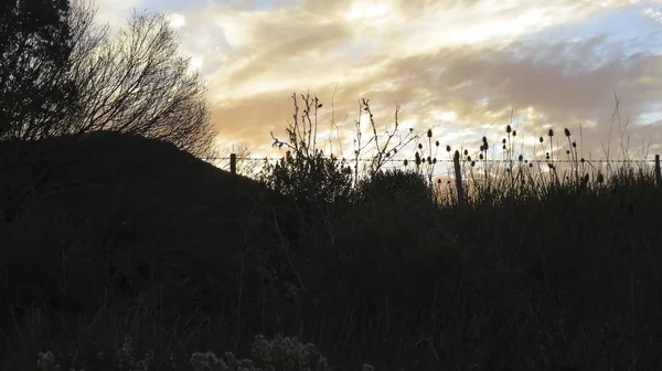 Wunderschöne Sonnenaufgänge Auf Dem Feld Inmitten Des Aufsteigenden Taunebels — Stockfoto