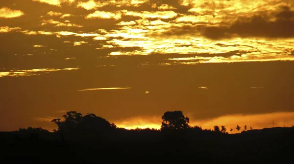 Piękne Wschody Słońca Polu Pośród Mgły Rosy Wschodzącej — Zdjęcie stockowe